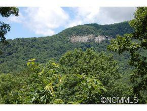 1916 Buffalo Shoals Road - Photo 4