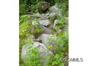 349 Poverty Branch - Photo 14