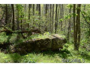 349 Poverty Branch - Photo 15
