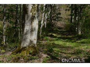 349 Poverty Branch - Photo 17