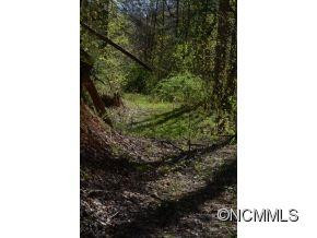 349 Poverty Branch - Photo 18