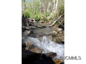 349 Poverty Branch - Photo 3