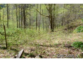 349 Poverty Branch - Photo 6
