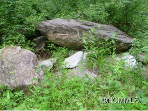 349 Poverty Branch - Photo 8