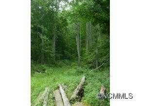 349 Poverty Branch - Photo 9
