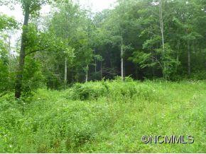 349 Poverty Branch - Photo 10