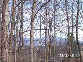 137 Red Cedar Drive - Photo 12