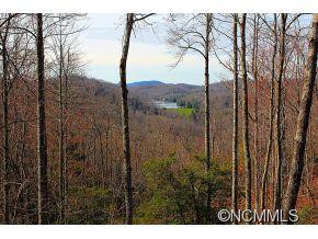 1141 Cantrell Mountain Road - Photo 2