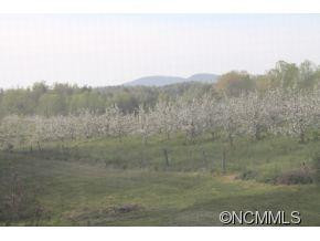 150 Raspberry Point Lane - Photo 15