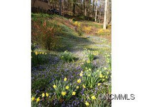 223 Robinhood Road - Photo 5