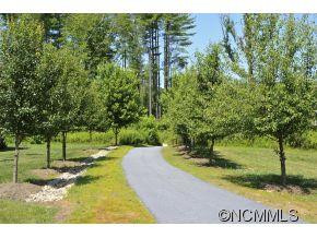 153 Fox Creek Drive - Photo 8