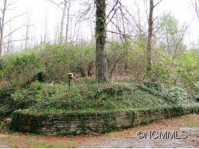 114 Bent Twig Lane - Photo 11