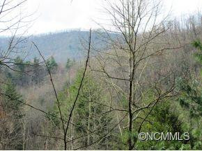 114 Bent Twig Lane - Photo 10