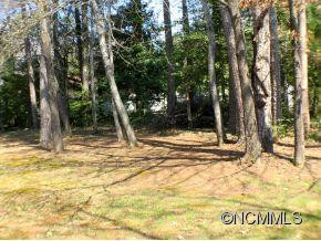 1268 Hendersonville Highway - Photo 8