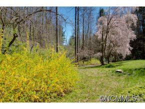 6300 Blue Ridge Road - Photo 10