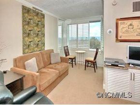 647 TOWN MOUNTAIN RD #402 - Photo 3