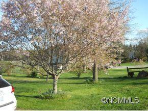 13 Apple Blossom Lane - Photo 6