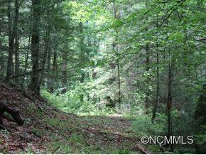 2145 East Fork Rd - Photo 15