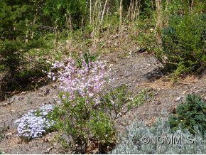 34 Eastmoor Drive - Photo 22