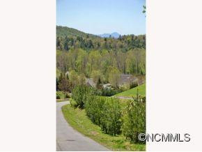 29 BEE TREE VILLAGE PARKWAY - Photo 3