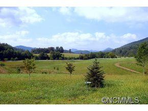29 Dreambird Drive - Photo 14