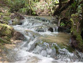 642 Laurel Thicket - Photo 21