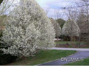 1 Tiffany Lane - Photo 18
