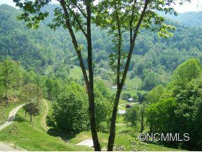 3313 Max Patch Road - Photo 2