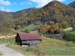 3313 Max Patch Road - Photo 11