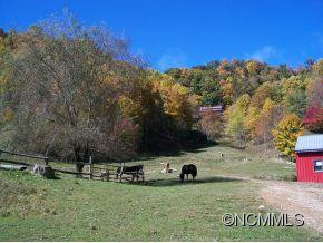 3313 Max Patch Road - Photo 17