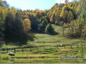 3313 Max Patch Road - Photo 3