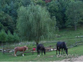 3313 Max Patch Road - Photo 24