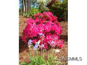 1011 Coves Pheasant - Photo 19