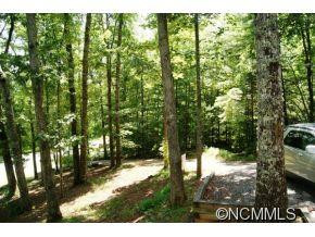 1 Falls Cabin Road - Photo 12
