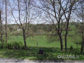2113 New Leicester Highway - Photo 24