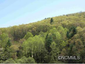 10 Spring Creek Trail - Photo 3