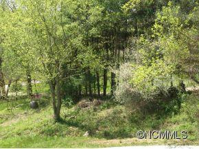 10 Spring Creek Trail - Photo 4