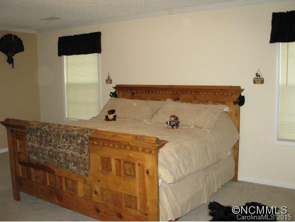 263 Coyote Pass Lane - Photo 4