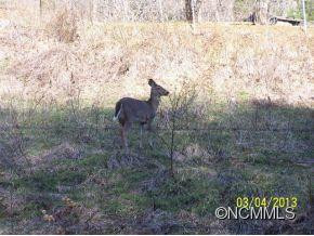 268 Willow Creek Road - Photo 23
