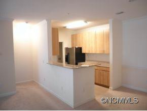 1000 Old  e Eastwood Village Unit. A203 - Photo 6