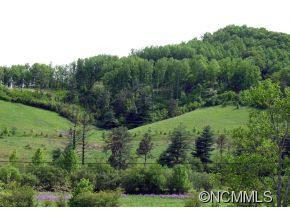 25 Bear Flower Trail - Photo 2