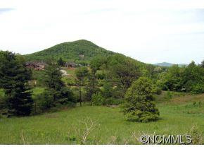 25 Bear Flower Trail - Photo 3