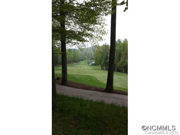 17 Wild Flower Hollow - Photo 13
