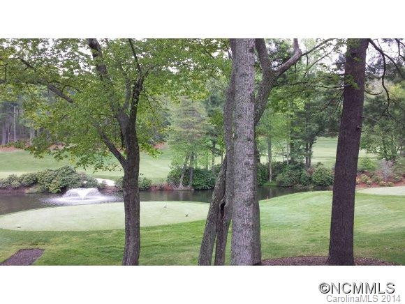 17 Wild Flower Hollow - Photo 14
