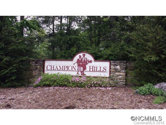 17 Wild Flower Hollow - Photo 15