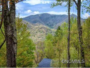 49 HOPALONG TRACE - Photo 11