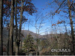 184 Pisgah Shadows Rd - Photo 2