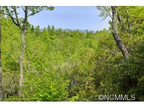 1979 Pisgah Forest Drive - Photo 17