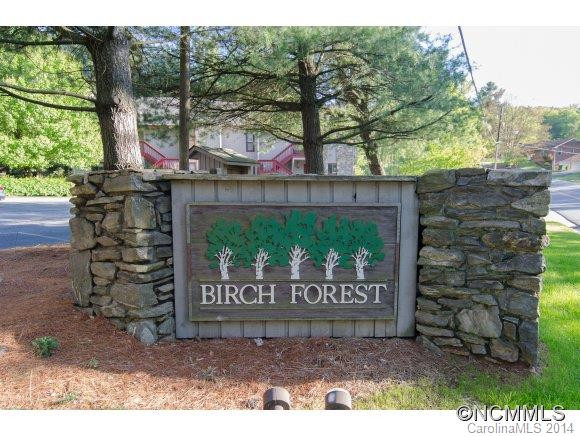 103 Birch Forest Lane - Photo 13