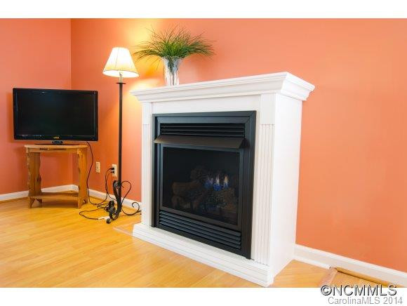 103 Birch Forest Lane - Photo 4